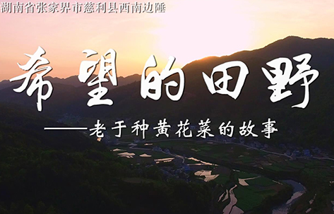 微电影｜希望的田野